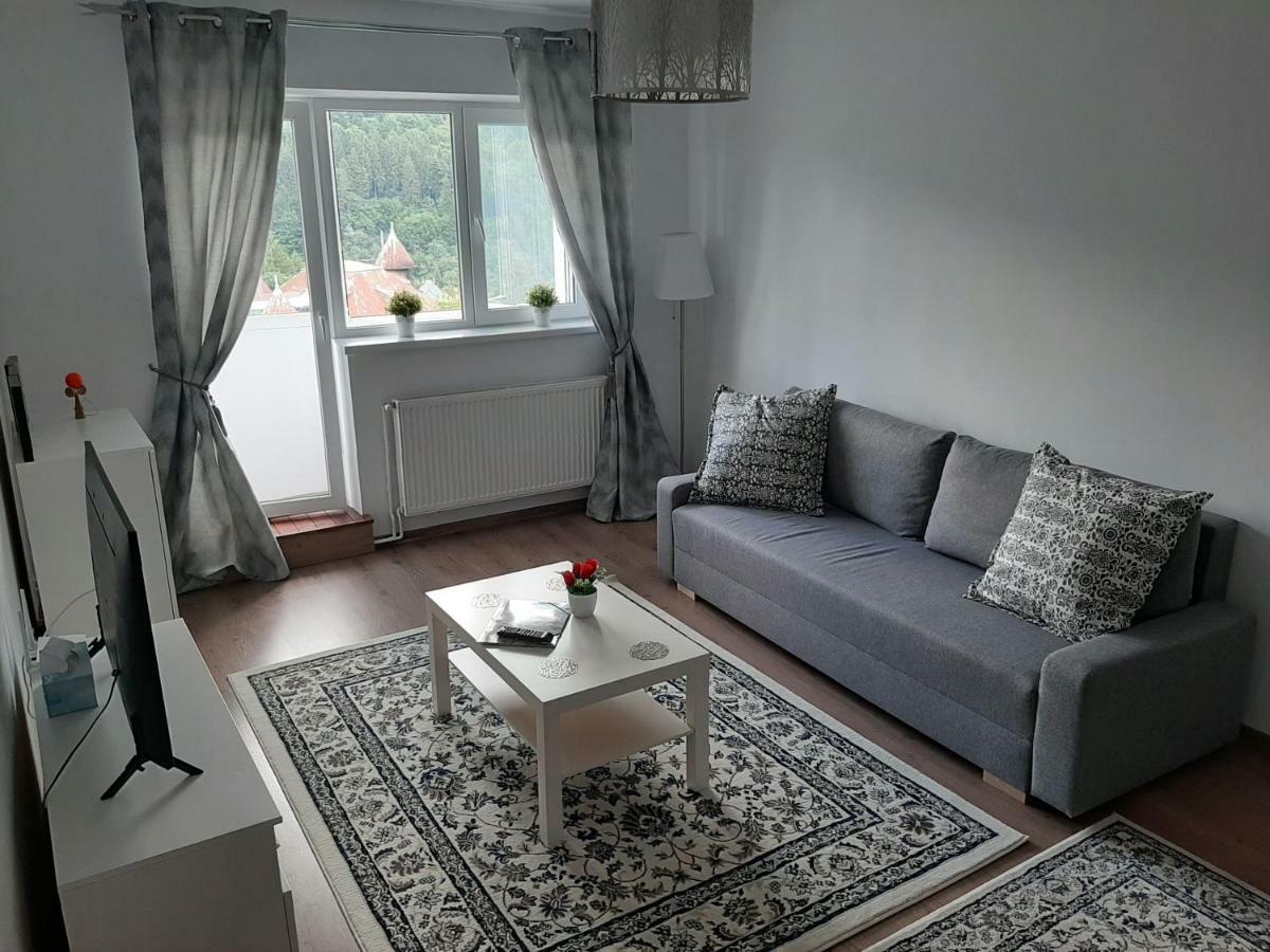 Lidia'S Apartment 시나이아 외부 사진