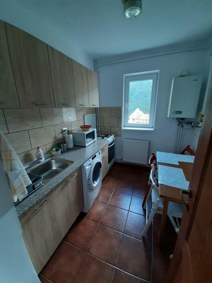 Lidia'S Apartment 시나이아 외부 사진